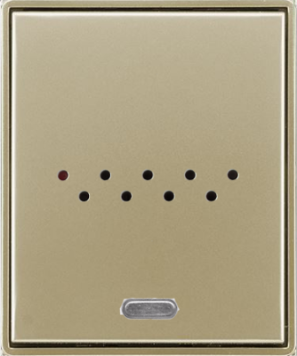 C-RQ-0600R-CHT-Time, šampaňská